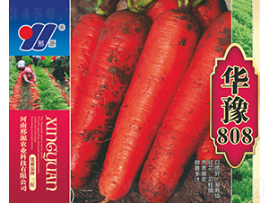 �Aԥ808-�t�}���N��-��Դ�r�I