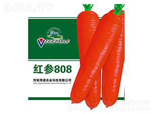 �t��808-�}���N��-��Դ�r�I