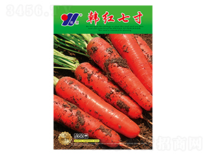 �n�t�ߴ�-�}���N��-��Դ�r�I