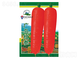 �V�u�t��-�}���N��-��Դ�r�I