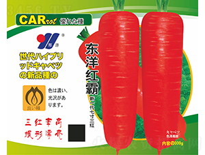 �|��t��-�}���N��-��Դ�r�I