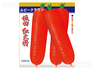 ����t��-�}���N��-��Դ�r�I