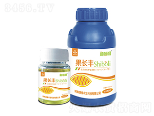 ���L�S-ʩ����-ʢ���r�I