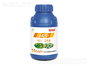 �Ŷ����|̦��-ʩ����-ʢ���r�I