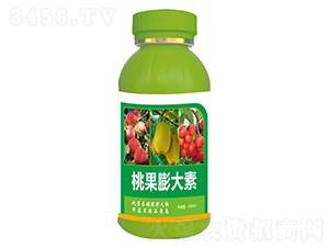 桃果膨大素-美源化工