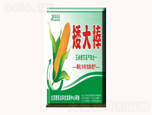 �~�����-�����-�����_(d��)