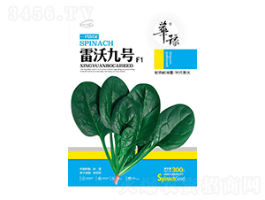 ���־�̖-���˷N��-��Դ�r(n��ng)�I(y��)