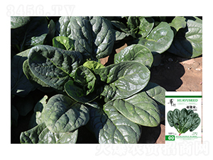 ������-���˷N��-��Դ�r(n��ng)�I(y��)