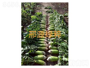 ��Դ�G��-���}���N��-��Դ�r�I