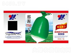 ��Դ791�}��-���}���N��-��Դ�r�I