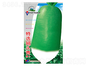 ���x�N�^��-���}���N��-��Դ�r�I