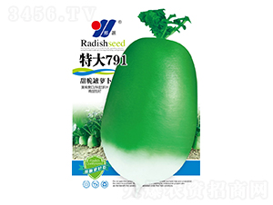 �ش�791�����}��-���}���N��-��Դ�r�I