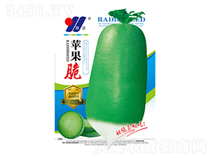 �O����-���}���N��-��Դ�r�I