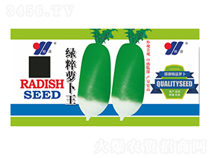 �G���}����-���}���N��-��Դ�r�I