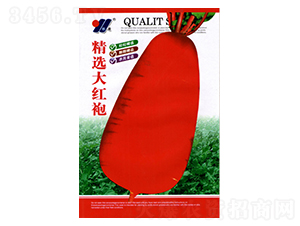 ���x��t��-���}���N��-��Դ�r�I