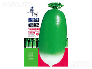 �����G��-���}���N��-��Դ�r�I