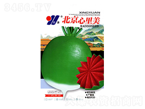 ����������-���}���N��-��Դ�r�I