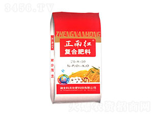 �ͺϷ���24-8-10-�����r�I