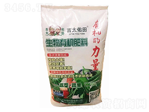 �߲˻��׷������ЙC����-��̫����