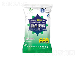 �ͺϷ���24-10-11-���A�r�I