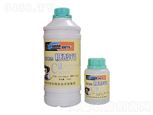 �Ǵ��}-������