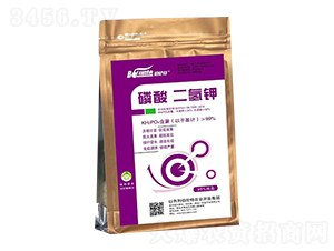 ��������-������