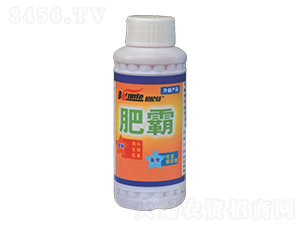 �ʰ�-������