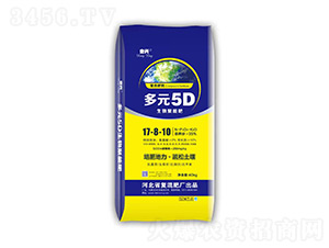 ��Ԫ5D������ܷ�17-8-10-���d