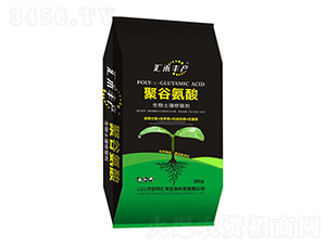 �۹Ȱ������������ޏ̈́�-�R��