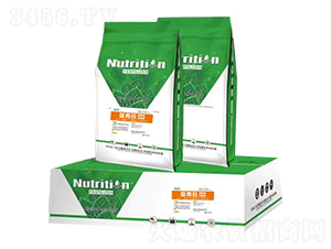 �����̦��-���