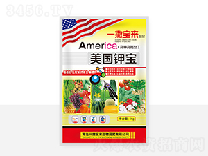 ����⛌�-һ������ 