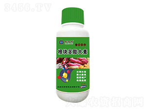 ���K�o�����-˹���D-�|�|�r�I