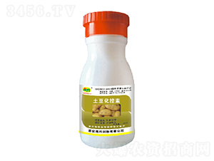 �t��������-�ɰ�����