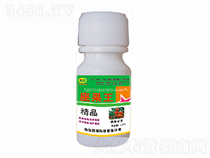 ���ь���-������-�ɰ�����