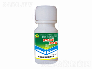 �߻����������-�ɰ�����