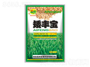 ���S��С������-�ɰ�����