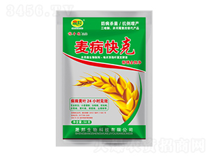 �������-�ɰ�����