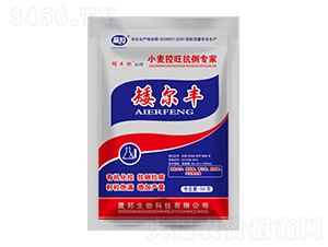 �����SС��������������-�ɰ�����