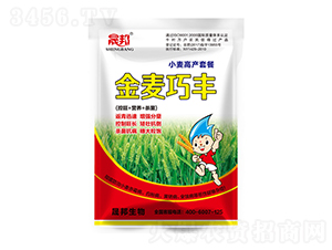 �������SС���߮a�ײ�-�ɰ�����