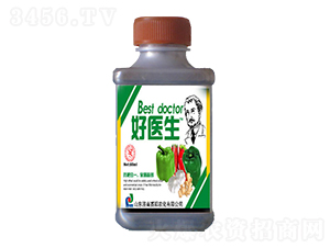 ����������ˎ��-���t��-ِ�����