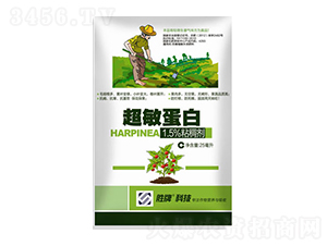 ��������-ِ�����