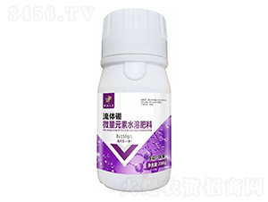 ���w��-��������