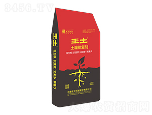 �����ޏ̈́�-�|��Ƽ�