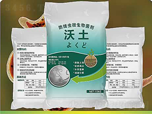 ����-����ʘI