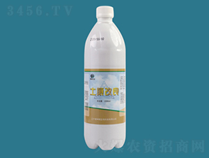 ��������-����