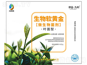 �~����΢�������-����ܛ�S��-�����ʘI