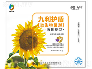 ���տ���΢�������-�����o��-�����ʘI