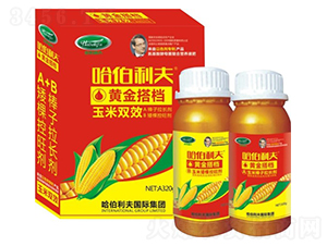 �S���n-��������