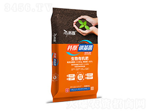 �����ЙC��-�ƈ�̼����-���r�d̩