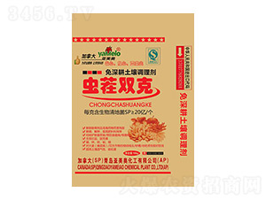 �x���p������������{�턩-���ؠ�